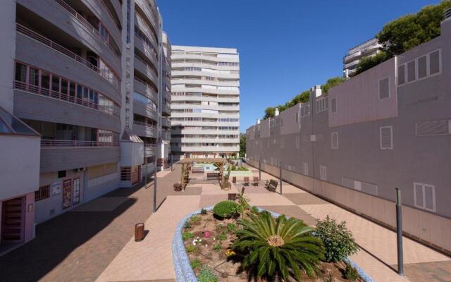 Apartamentos Nuevo México C 432