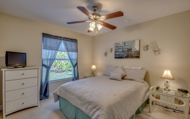 House Palm Tree by Vacationhit