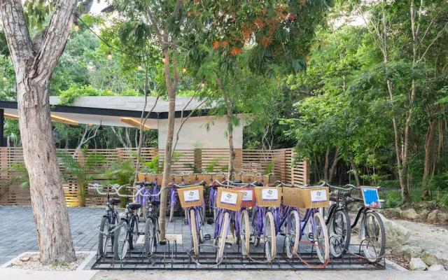 Casa Julian 1 Bedroom at Attha Cenote