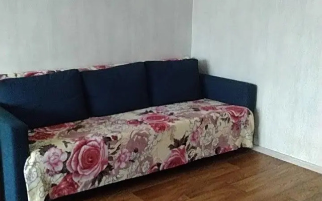 Апартаменты на проспекте Дружбы 33