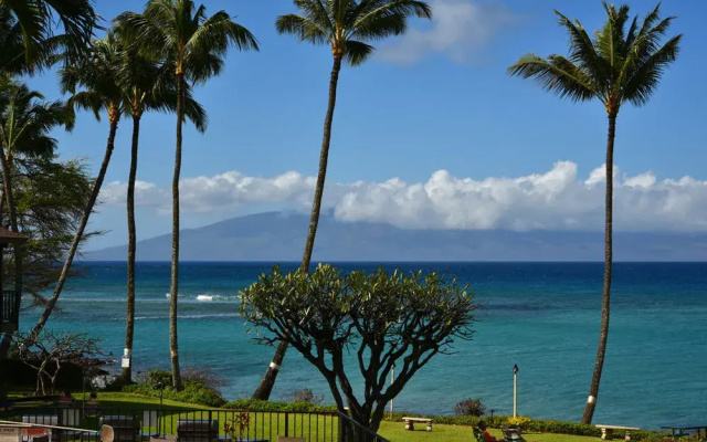 Polynesian Shores 111