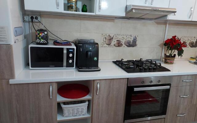 Vintage Central Apartament