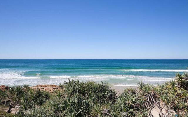 Papillon Coolum
