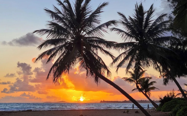 Coastal Puerto Rican Apartment - Walk to Beach!