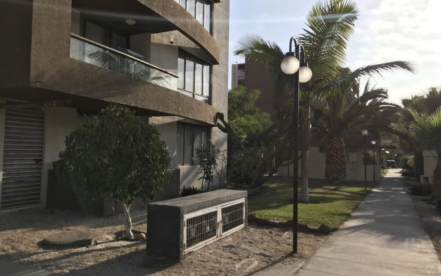 Pacifico Arica Parque Socoroma