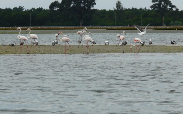 Verde Ria apartamento