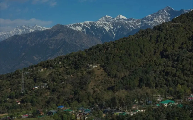 The Social Stays Bir Formerly Artbuzz