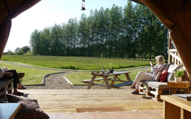 Tall Trees Glamping