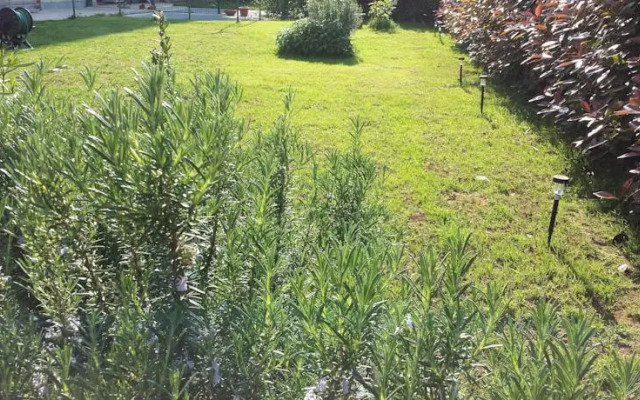 RhoFiera Garden Home