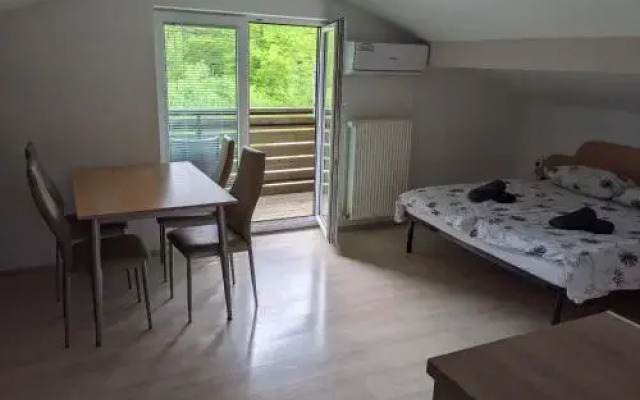 Apartments Domacija Mlaker