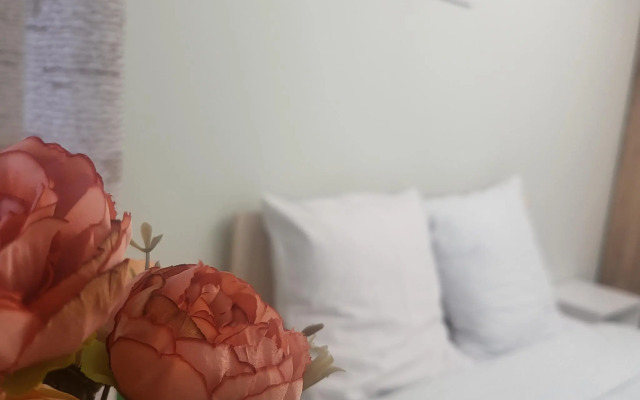 Апартаменты на проспекте Маркса 20