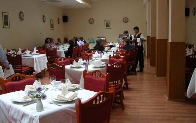 Hotel Ferdinand Baile Herculane