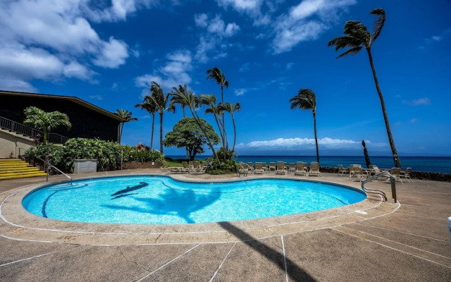 Napili Shores G258 Studio Condo Condo