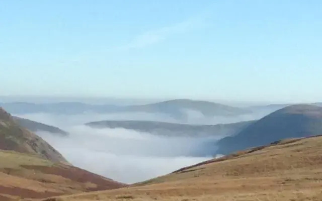 Brynderwen