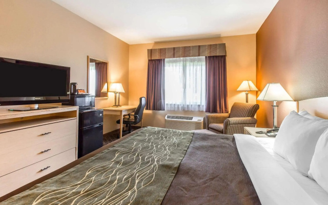 Comfort Inn & Suites Downtown Brickell-Port of Miami