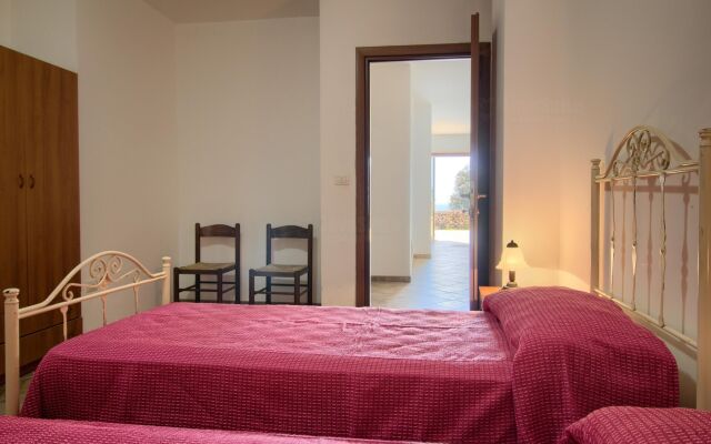 Salvia Lovely Seaview