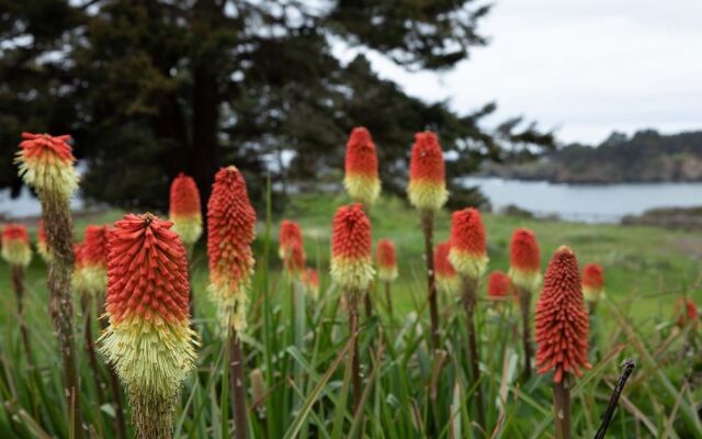 Headlands Inn Bed & Breakfast