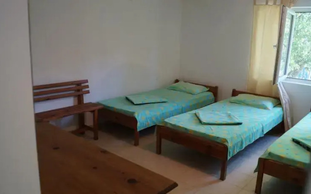 Pura Vida Breeze Hostel