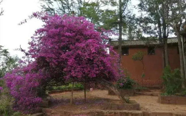 Nuodeng Yuanse Homestay