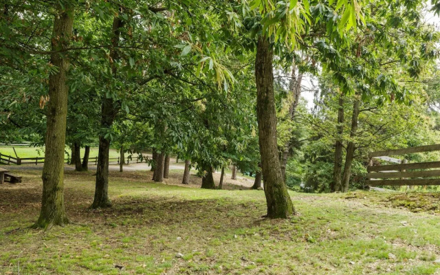 Unique Holiday Experience in Greenery near Lake