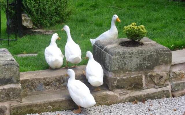 Tithe Barn Bed and Breakfast