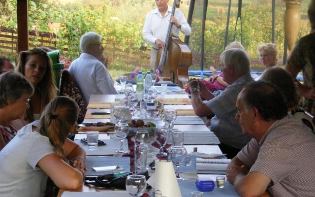 Pensiunea Dorel Codoban