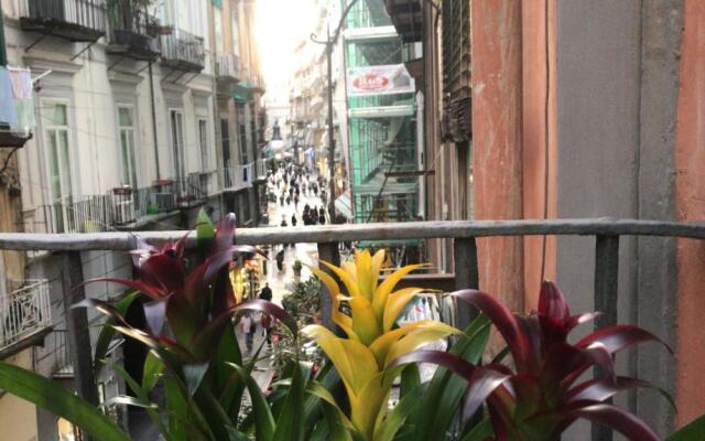 Base Napoli Plebiscito