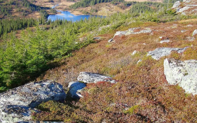 10 Person Holiday Home in Follafoss-by Traum