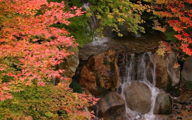 1000 Years of Tradition - Akiu Onsen Sakan