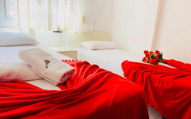 Canarian Garden Building Jardines Canarios