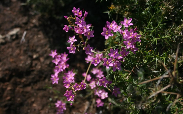Vila Senhora da Rocha