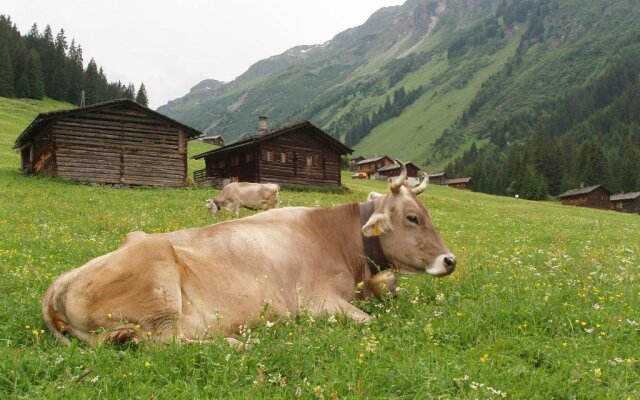 Appart Fernblick