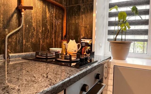 How are you at Home on Ulyanov Street 45B