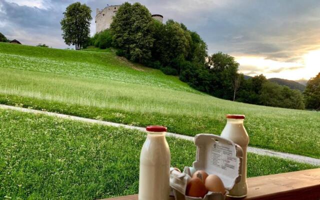 Ferienwohnungen Schlosshäusl