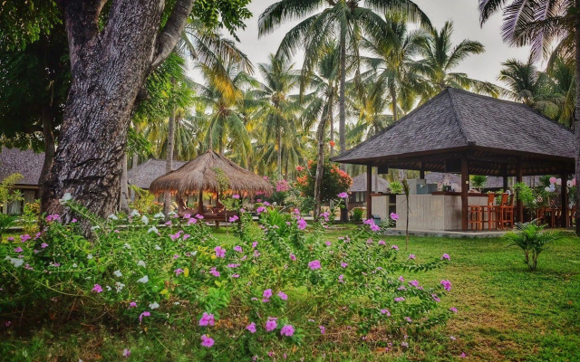 Trawangan Oasis