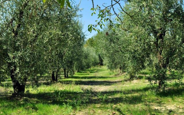 Agriturismo Il Pino - Tuscany Italy - Apartment Cipresso