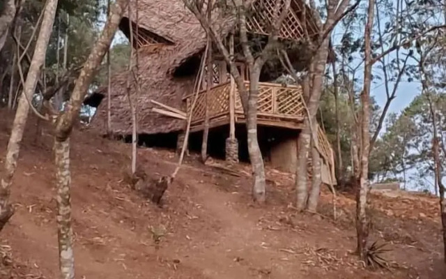 Ngorongoro economy Lodge