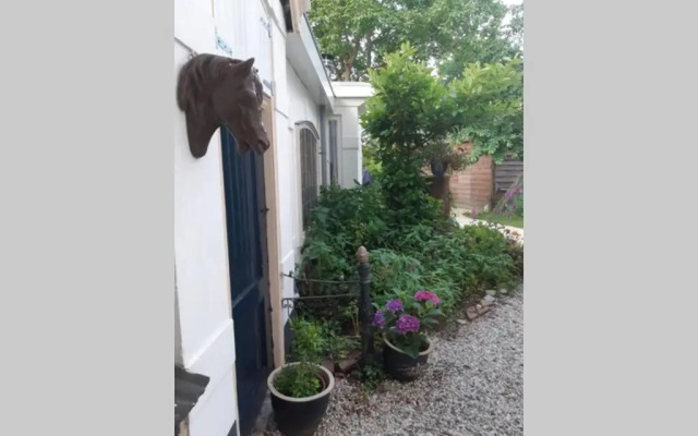 Oranjerie, 7 km onder Groningen