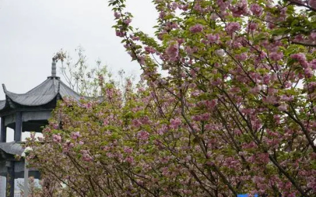 Zhangjiajie Qinghuan Homestay (Tianmen Mountain Cableway Store)