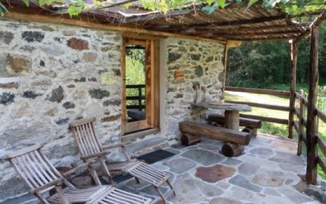 Fienile Nel Vigneto (Vbl300)