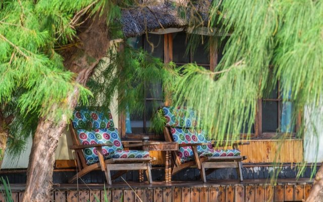 Saadani Safari Lodge - bush, river, beach (All Inclusive! meals / drinks and Safaris!)
