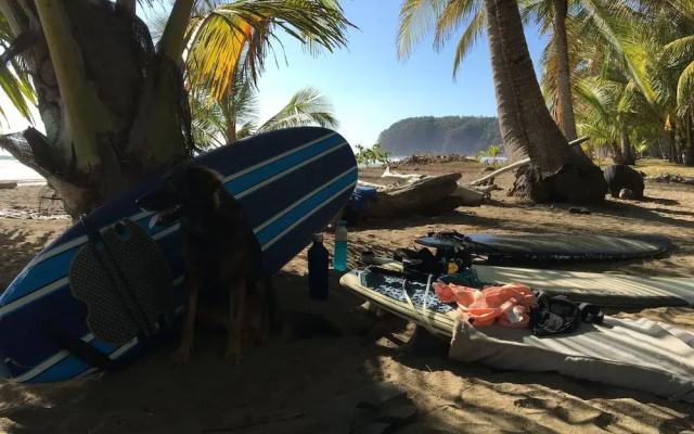 Hostel & Camping Alouatta
