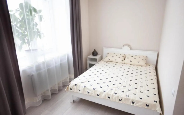 Centra apartamenti Elīza