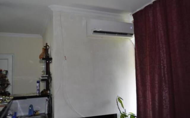 Guesthouse Dariali