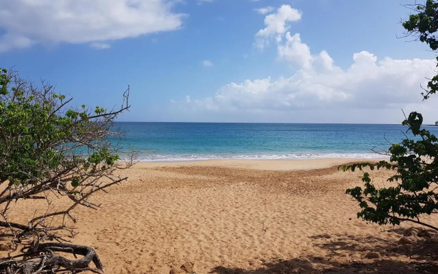 L'Aurielle, Tout le confort à 500m de la plage