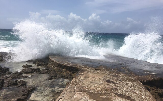 Jackies on the Reef