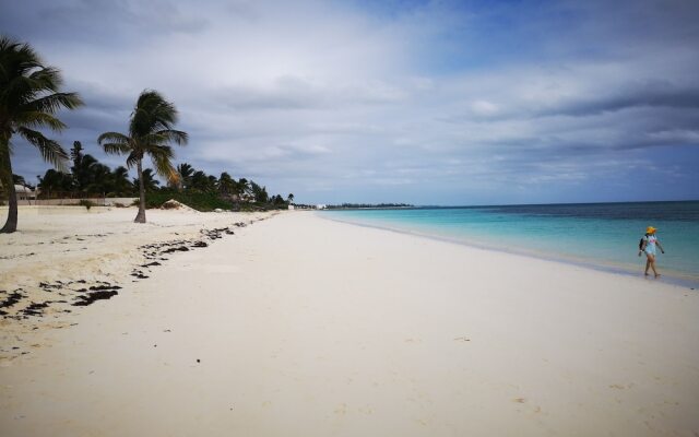 Coral Beach Hotel and Condominiums