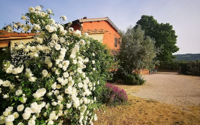 B&B La Casa dei Tigli