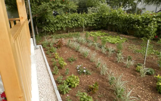 Apartment Slavica