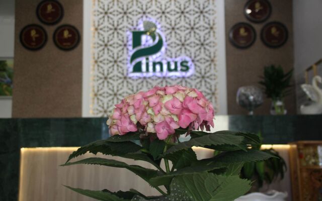 Pinus Hotel